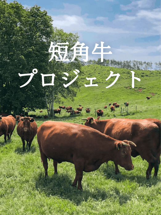 短角牛プロジェクト | ワンダーテーブル